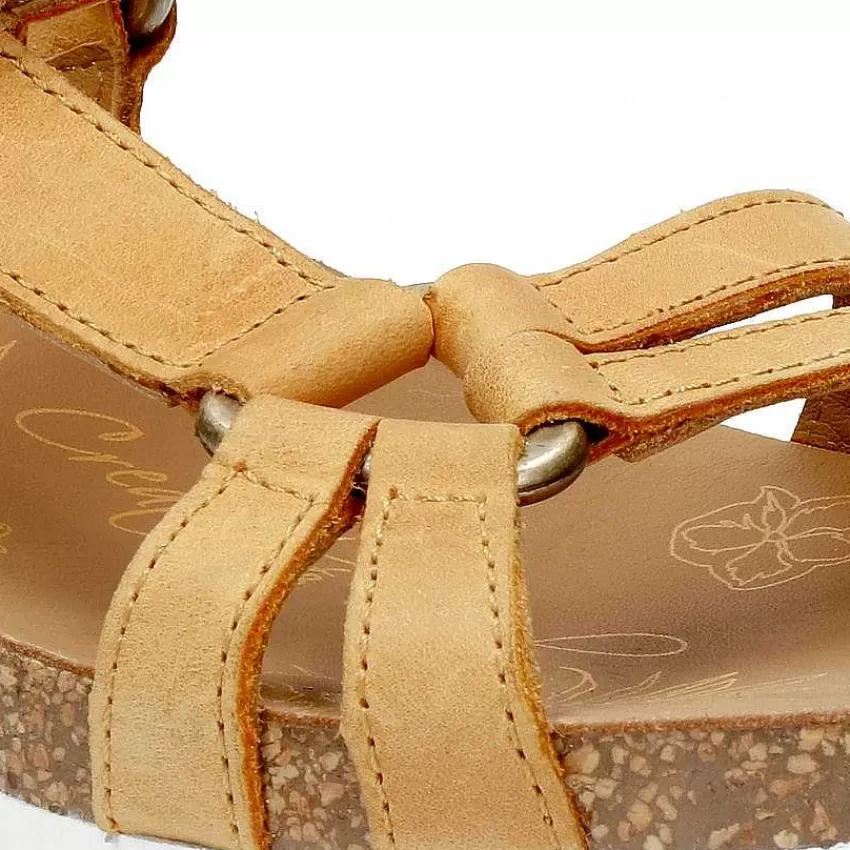 conceptos_basicos_de_sally_4.webp Clearance Panama Jack Conceptos Basicos De Sally