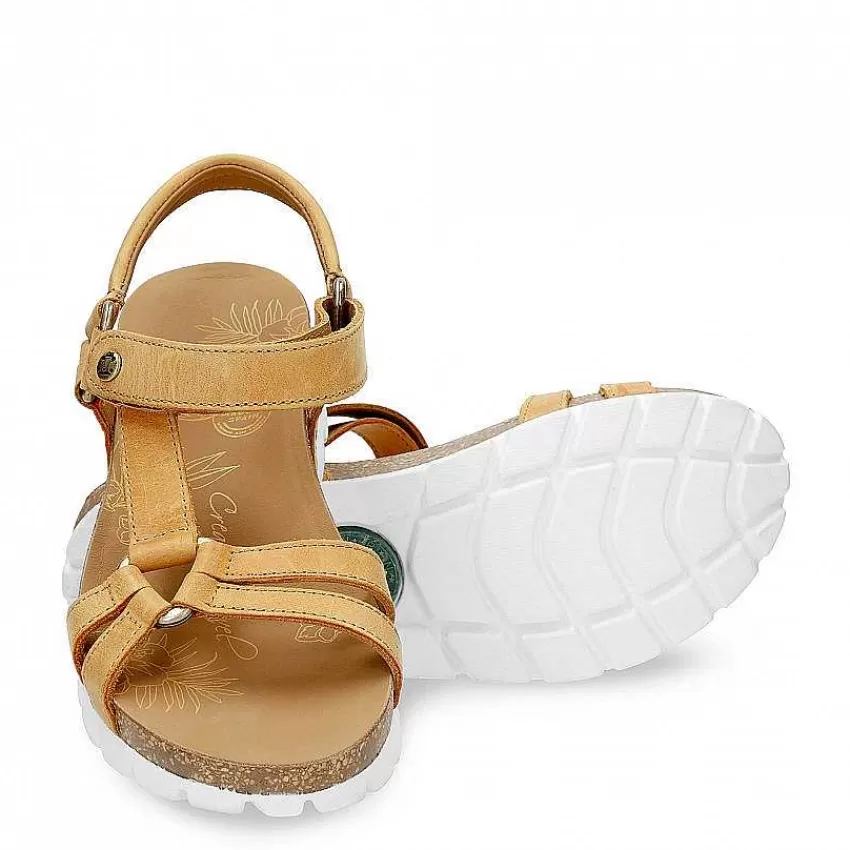 conceptos_basicos_de_sally_9.webp Clearance Panama Jack Conceptos Basicos De Sally