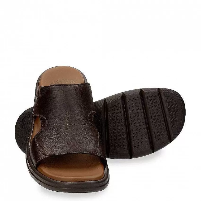 Flash Sale Panama Jack Robin