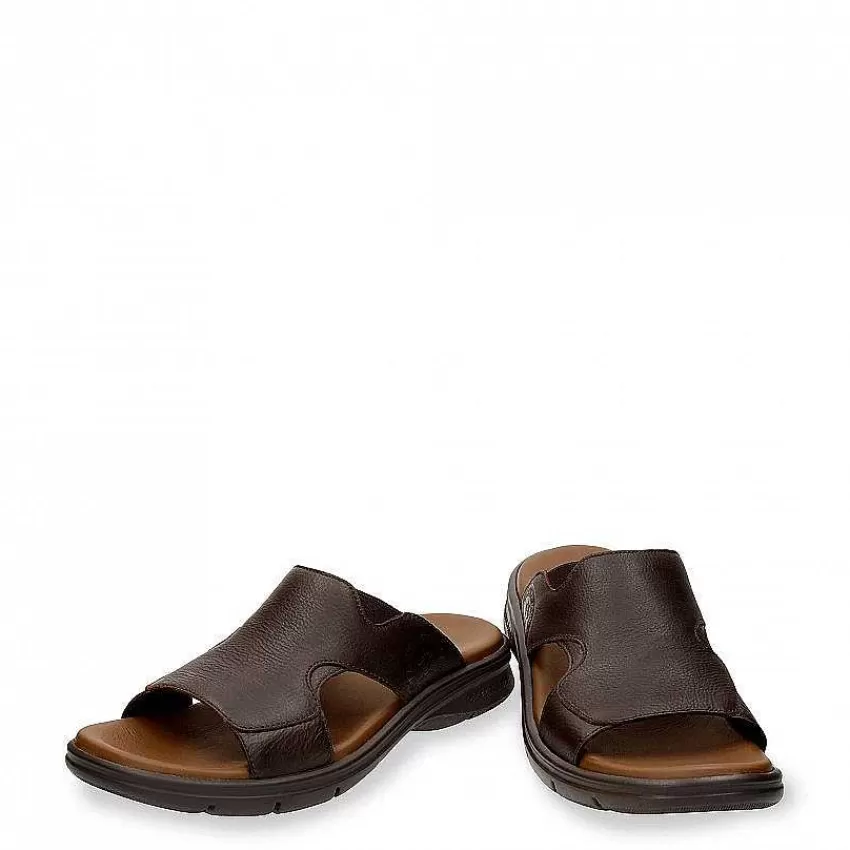 robin_4.webp Store Panama Jack Robin