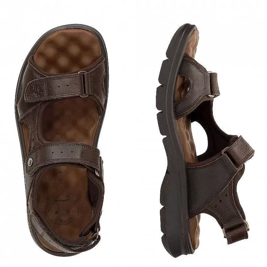 salton_2-1.webp Flash Sale Panama Jack Salton