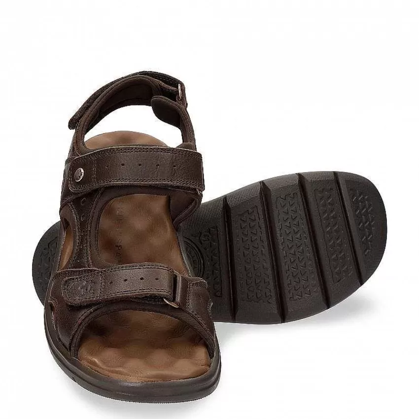 salton_4-1.webp Flash Sale Panama Jack Salton