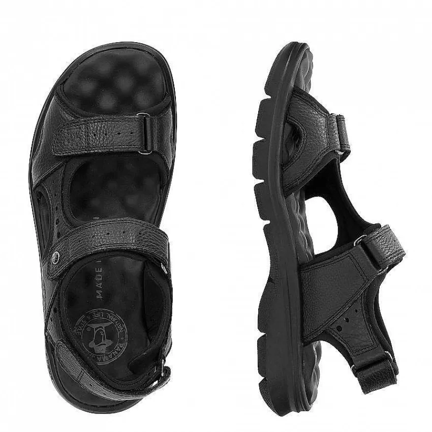 salton_5-5.webp Shop Panama Jack Salton