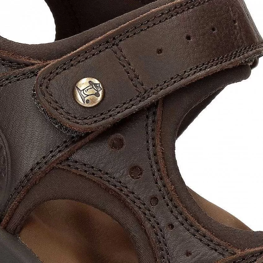 salton_6-1.webp Flash Sale Panama Jack Salton