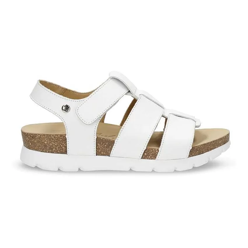 Online Panama Jack Sammy