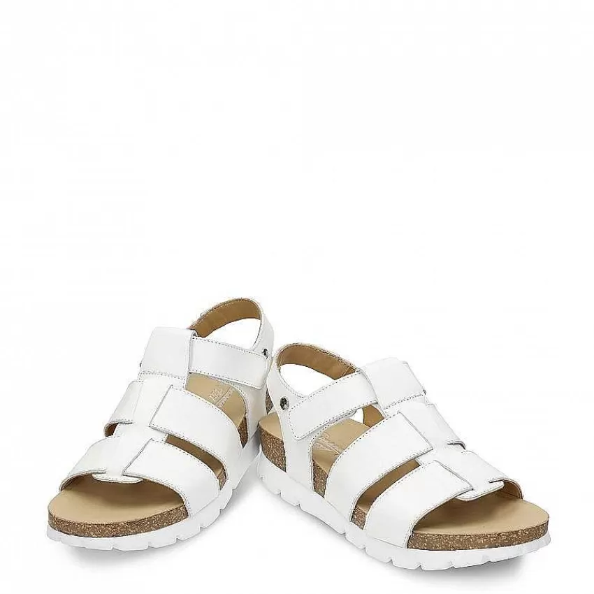 sammy_3-2.webp Discount Panama Jack Sammy