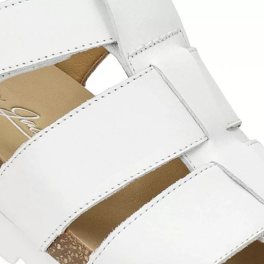 sammy_4-2.webp Discount Panama Jack Sammy