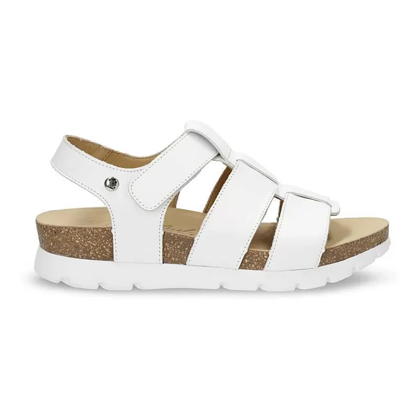 sammy_5-2.webp Discount Panama Jack Sammy