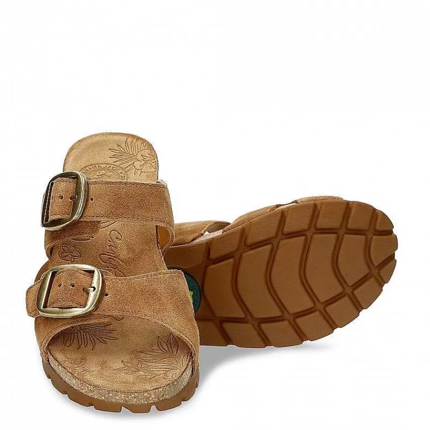 shirley_5-2.webp Flash Sale Panama Jack Shirley