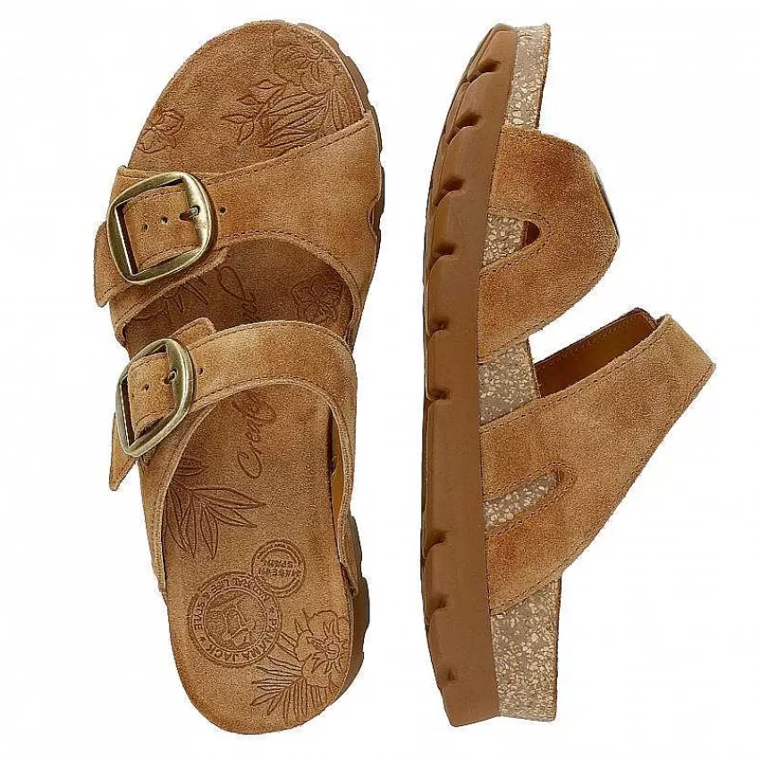 shirley_6-2.webp Flash Sale Panama Jack Shirley