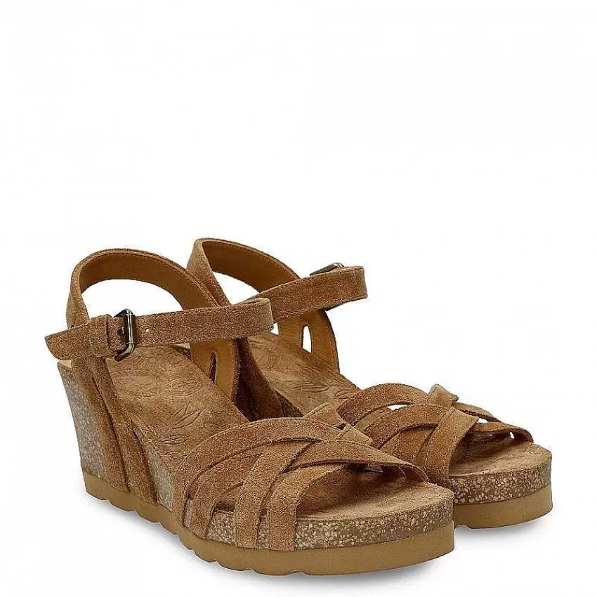 New Panama Jack Vera